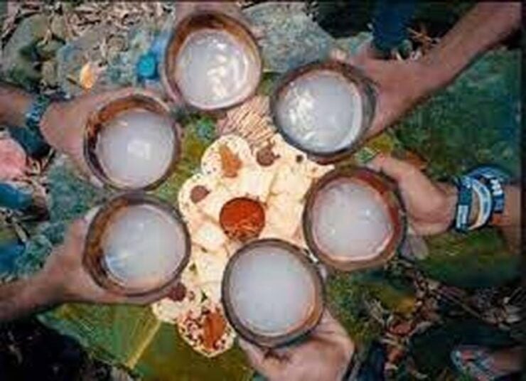 From Ella : Toddy (Kithul Raa) Experience in Ellas Village - Good To Know