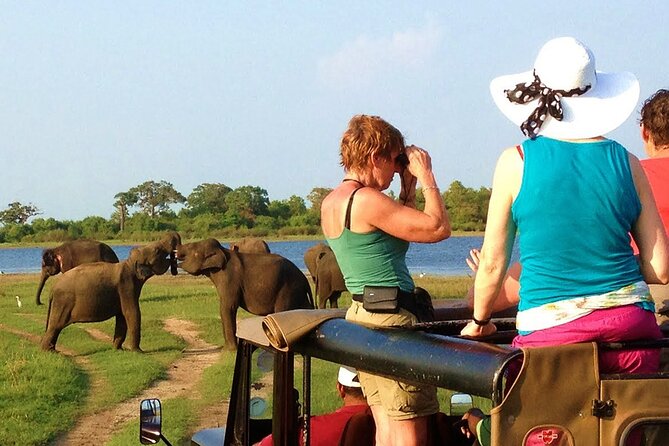From Ella: Transfer to Mirissa/Unawatuna/Galle & Yala/Udawalawe Safari Day Trip - Reviews and Ratings