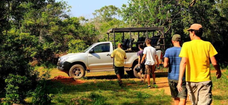 From Ella: Udawalawa Safari and Tangalle/Hiriketiya Transfer - Good To Know