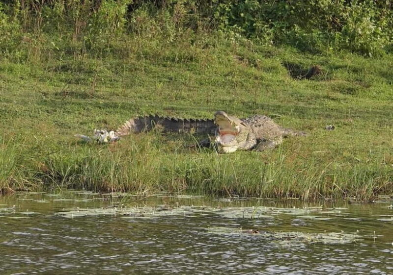 From Ella: Udawalawa Safari Drop: Galle / Mirissa / Tangalle - Final Thoughts