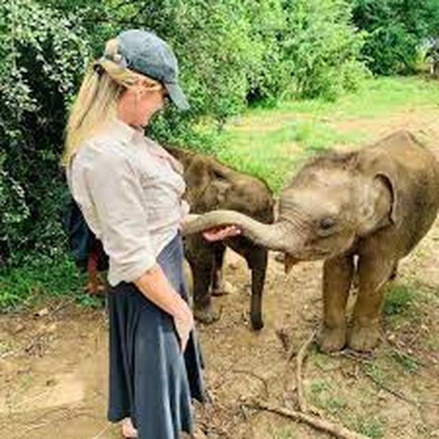From Ella :- Udawalawa Safari & Elephant Transit Home Tour - Elephant Transit Home