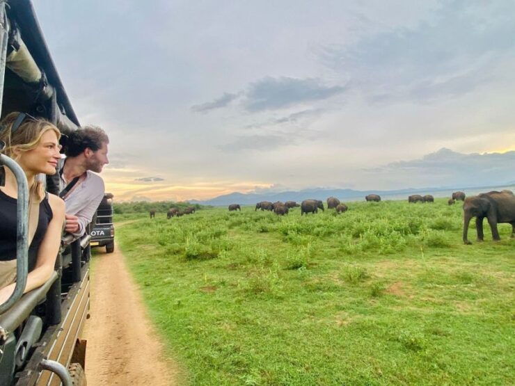 From Ella - Udawalawe National Park Private Safari - Logistics