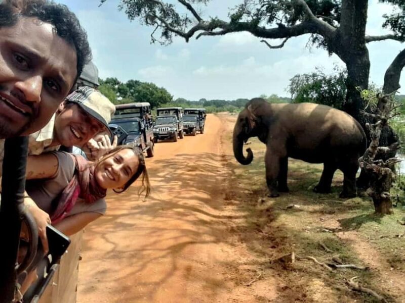 From Ella: Udawalawe National Park Safari with Return - FAQ