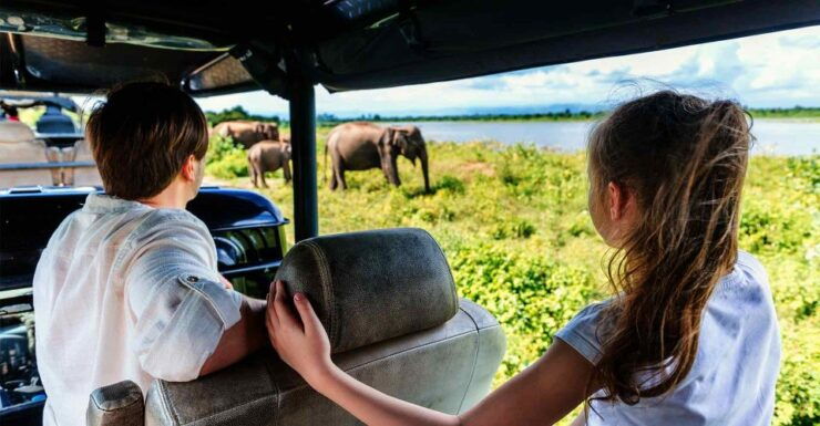 From Ella: Udawalawe Safari With Elephant Transit Home Visit - Activity Details