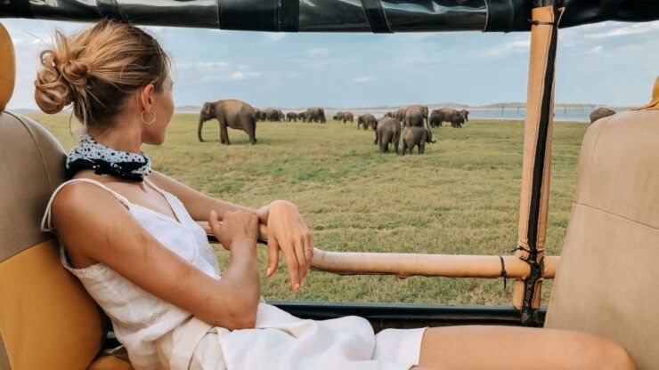 From Ella: Udawalawe Safari With Elephant Transit Home Visit - Experience Highlights