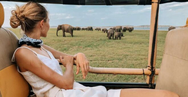 From Ella: Udawalawe Safari With Elephant Transit Home Visit - Tour Highlights