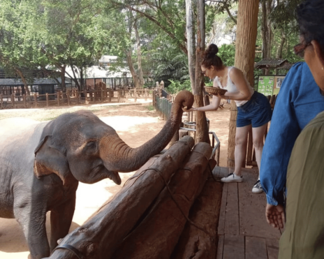 From Ella : Udawalawe & YALA Safaris With Breakfast & Lunch - Included Amenities
