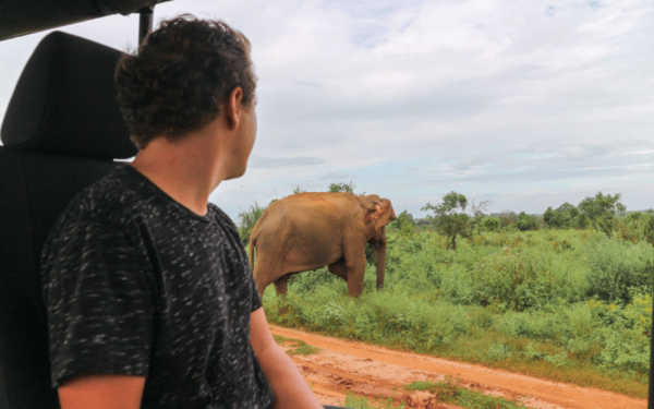 From Ella : Udawalawe & YALA Safaris With Breakfast & Lunch - Customer Feedback