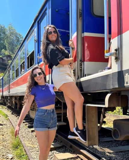 From Ella -Unforgettable Day Trip of 8 Sights & Train - Good To Know