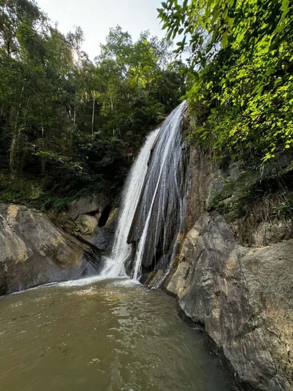 From Ella Waterfalls Abseiling Adventure  Thrill & Nature - The Value of This Adventure