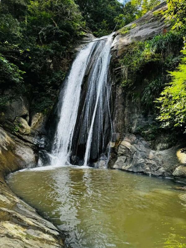 From Ella Waterfalls Abseiling Adventure  Thrill & Nature - Who Would Love This Experience?