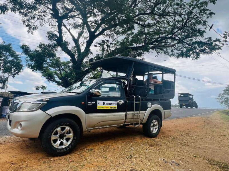 From Ella: Yala National Park Safari & back to Ella - Final Thoughts