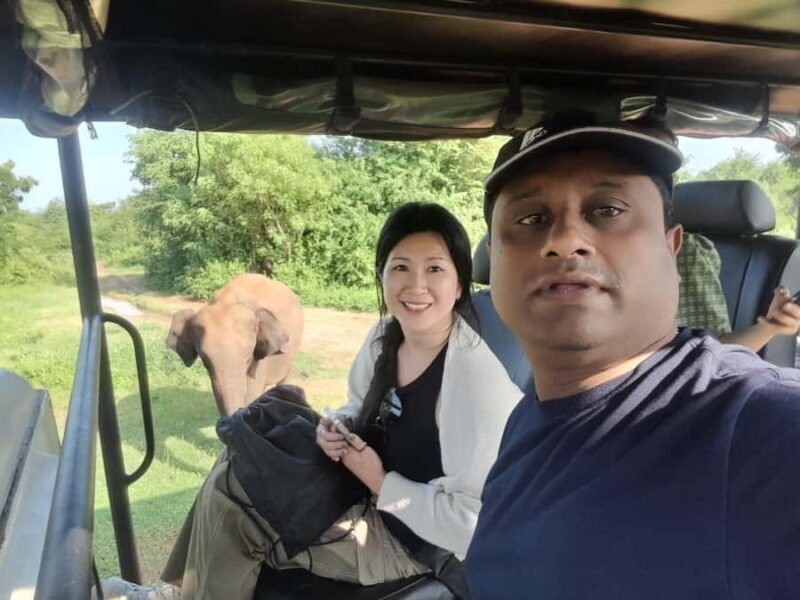 From Ella: YALA National park safari tour with Return - FAQ