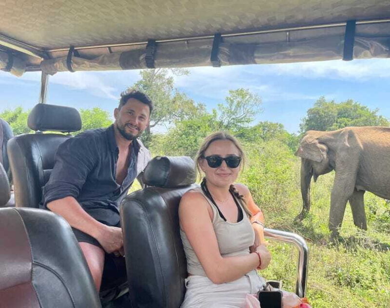 From Ella: Yala Safari & Drop at : Arugambay - Who Will Love This Tour?