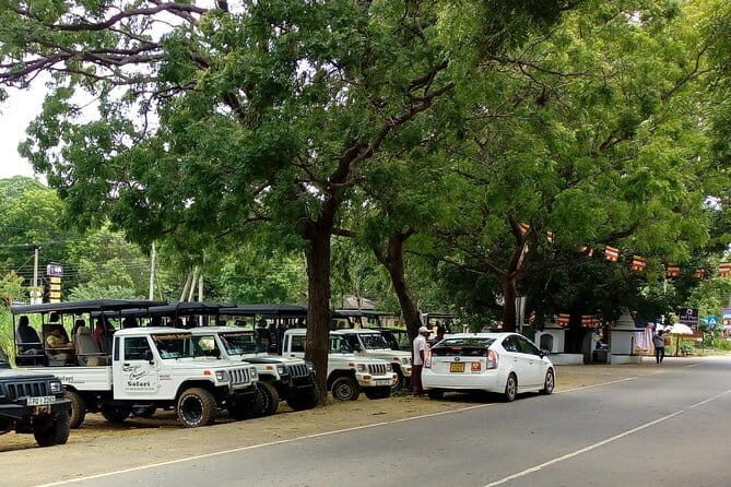 From: Ella - YALA Safari - Drop off: Arugam Bay / Arugambay - The Sum Up