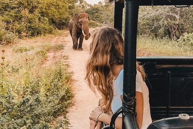 From: Ella - YALA Safari - Drop off: Arugam Bay / Arugambay - FAQ