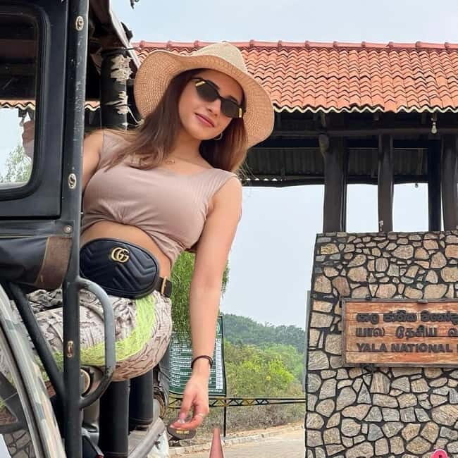 From Ella: Yala Safari & Transfer to Tangalle/Mirissa/Galle - Good To Know