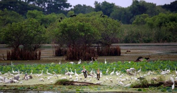 From Ella:Ravana Falls / Diyaluma Falls / Yala National Park - Photography Opportunities
