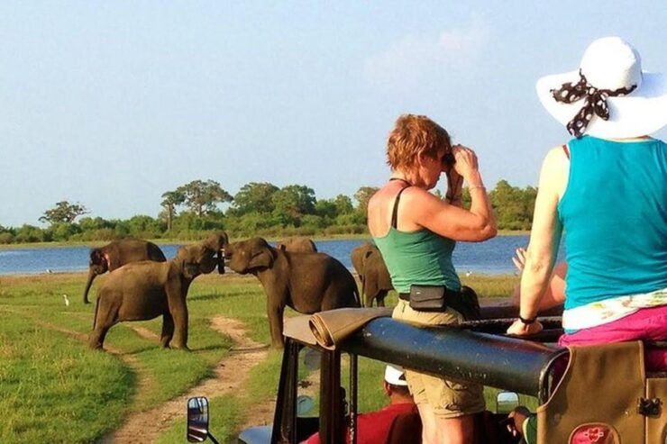 From Ella:Transfer to Galle/Mirissa With Udawalawa Safari - Activity Details