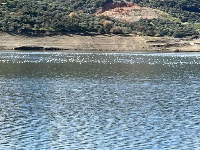 From Elounda Cretan Lasithi Plateau, Zeus Cave, Oldest Tree - Mythological Significance of Zeus Cave