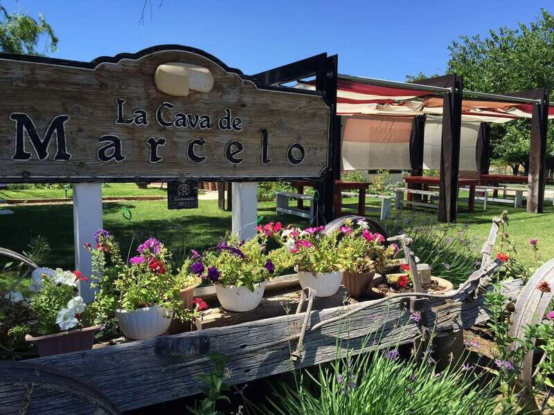 From Ensenada: Ojos Negros Valley Cheese & Wine Tasting Tour - An In-Depth Look at the Ojos Negros Valley Cheese & Wine Tour