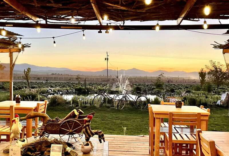 From Ensenada: Ojos Negros Valley Cheese & Wine Tasting Tour - Authentic Experiences That Shine