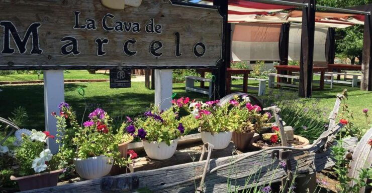 From Ensenada: Ojos Negros Valley Cheese & Wine Tasting Tour - Activity Details