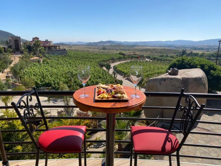 From Ensenada: Wine Tasting at Guadalupe Valley Ensenada - Activity Details