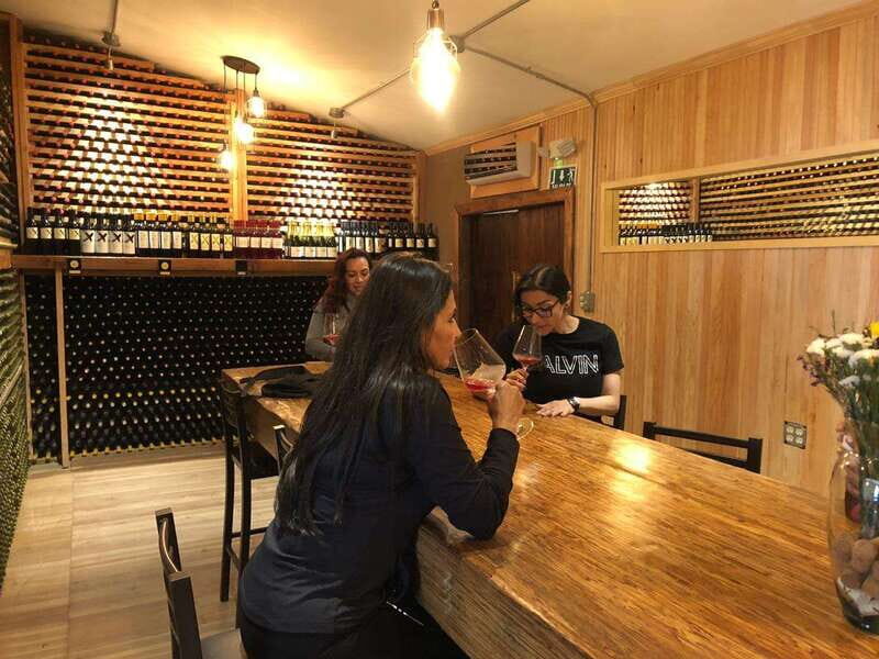 From Ensenada: Wine Tour at Guadalupe Valley Ensenada - An In-Depth Look at the Guadalupe Valley Wine Tour