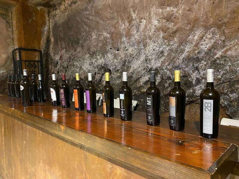 From Ensenada: Wine Tour at Guadalupe Valley Ensenada - The Sum Up