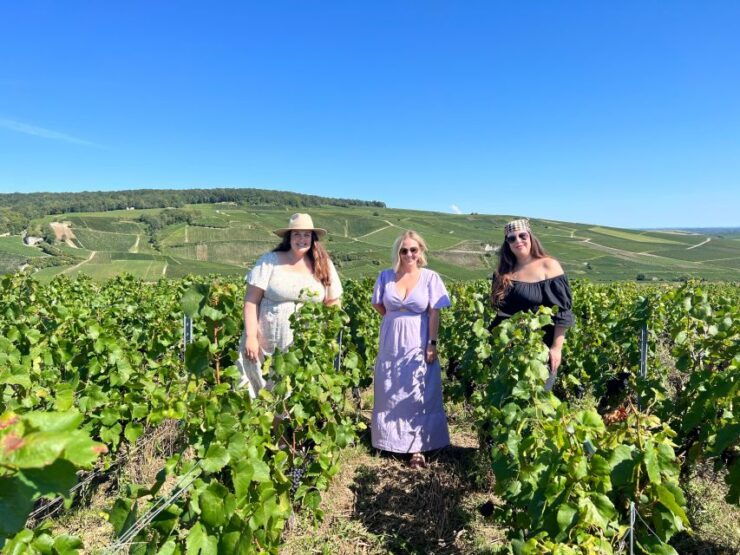 From Epernay: Afternoon Champagne Tour With 6 Tastings - Tour Details