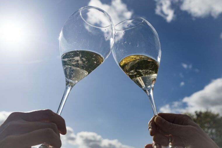From Epernay : Bubble Champagne Tour 6 Tastings - Champagne Tasting Experiences