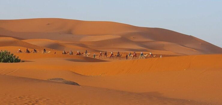 From Errachidia: One Way Transfert to Merzouga Desert-Erfoud - Scenic Drive Through Ziz Valley