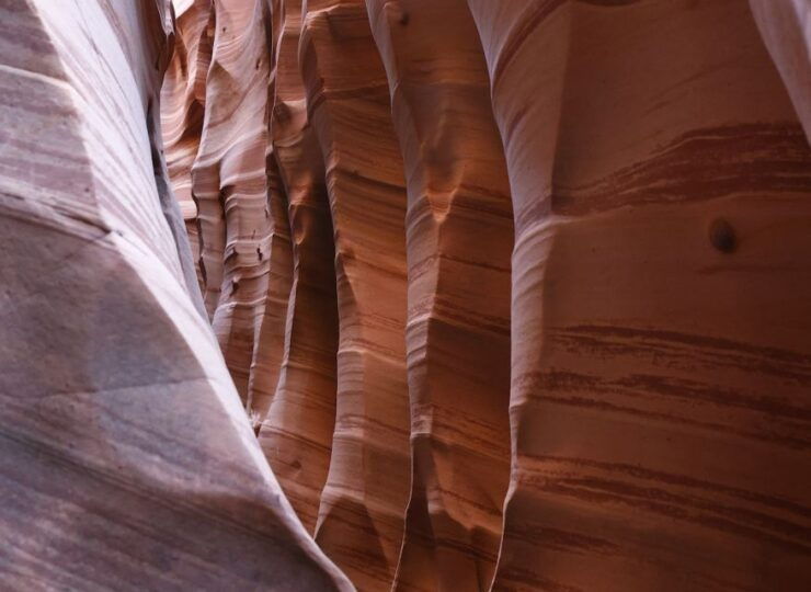 From Escalante: Zebra Slot Canyon Guided Tour and Hike - Activity Details