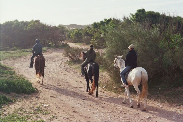 From Essaouira: 1-Hour Horse Ride - Activity Details