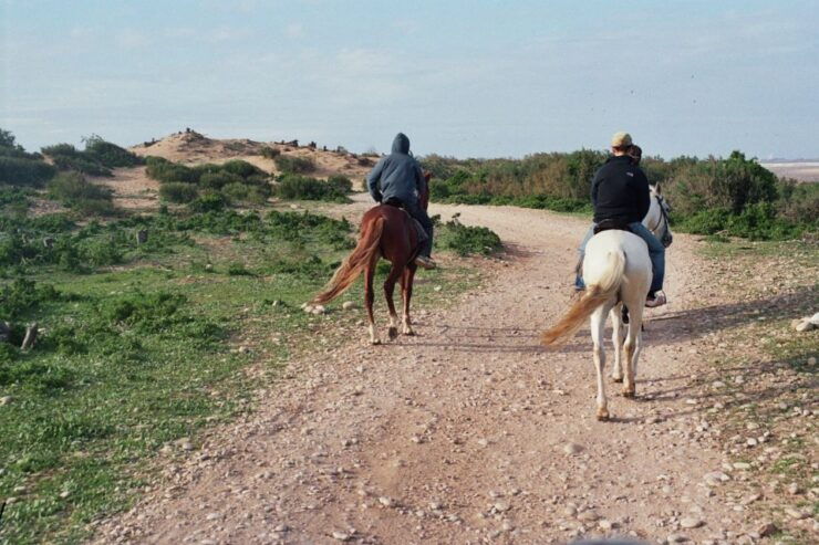 From Essaouira: 2h Horseback Ride With Sunset - Activity Details