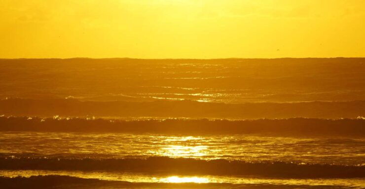 From Essaouira: 2h Horseback Ride With Sunset - Experience