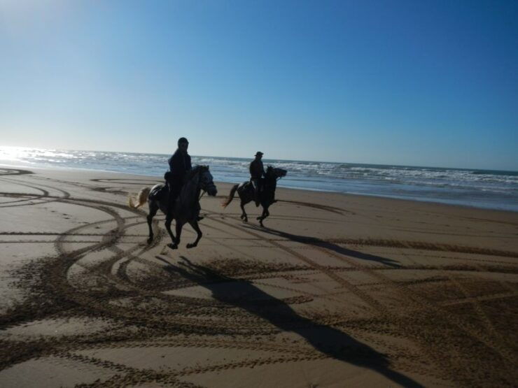 From Essaouira: Scenic Diabat Horseback Ride With Transfer - Activity Details