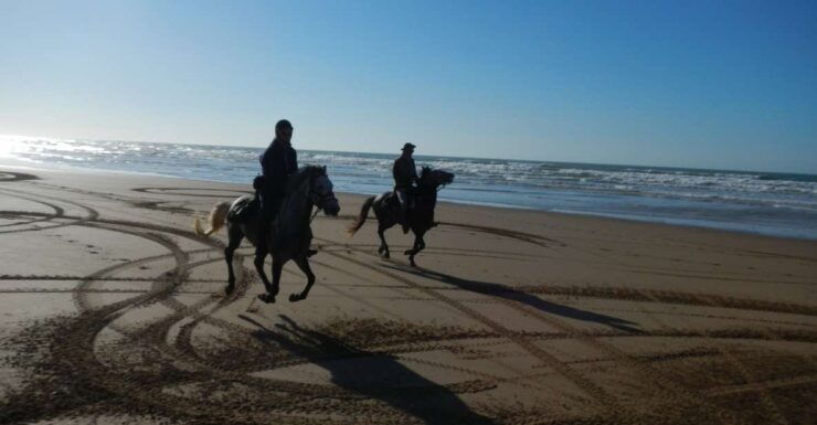 From Essaouira: Scenic Diabat Horseback Ride With Transfer - Experience Highlights