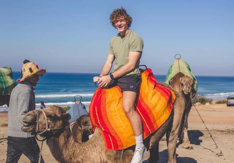 From Estepona: Tangier Day Trip with Ferry & Camel & Souk - Who Would Love This Tour?