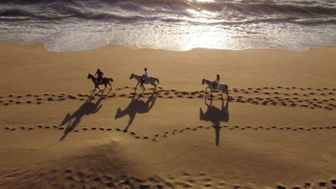 From Evora: Horseback Riding on Comporta Beach - Description