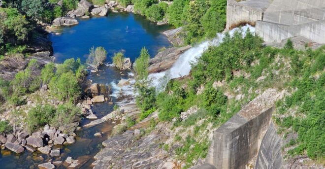 From Fafe: Full-Day Tour in Gerês National Park - Mata Da Albergaria