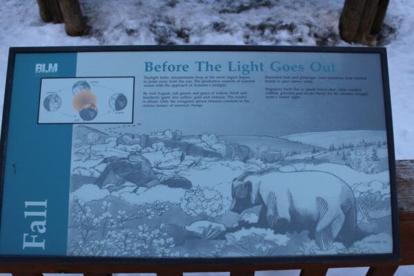 From Fairbanks: Arctic Circle Full-Day Guided Trip - Common Questions