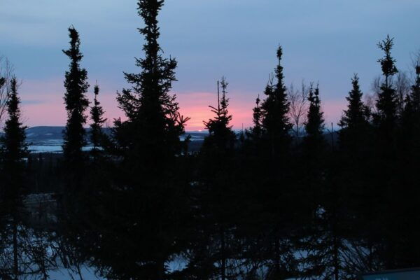 From Fairbanks: Arctic Circle Full-Day Guided Trip - The Sum Up