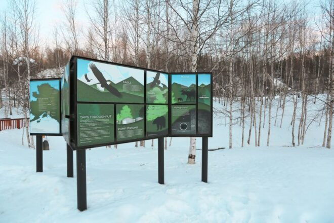 From Fairbanks: Arctic Circle Northern Lights Full-Day Trip - Customer Reviews