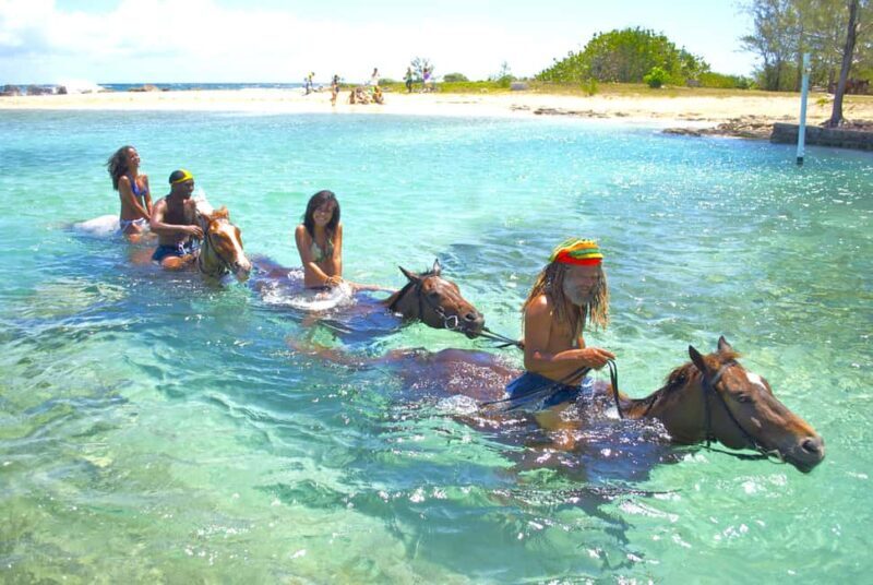 From Falmouth: Horseback Ride and Swim Beach Trip - Good To Know
