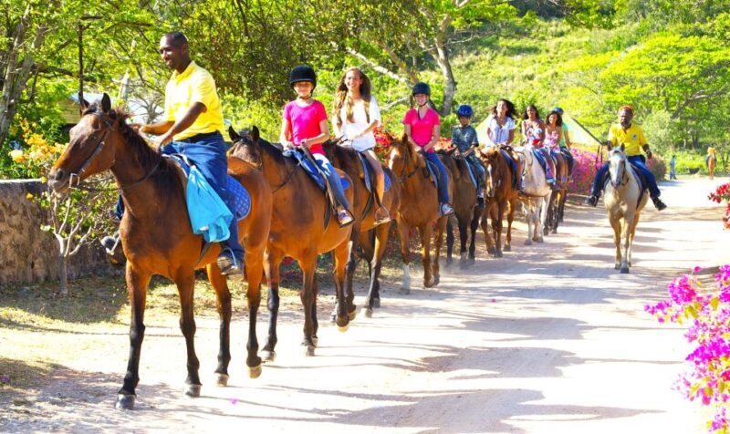 From Falmouth: Horseback Ride and Swim Beach Trip - FAQ
