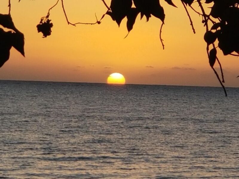 From Falmouth: Seven Mile Beach, Margaritaville & Ricks Cafe - FAQ