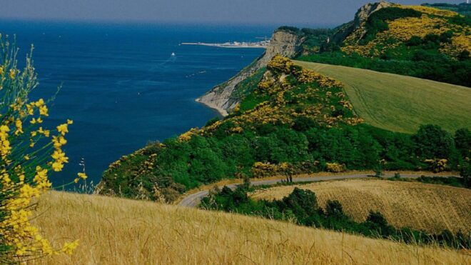 From Fano: Half-Day E-Bike Trip to Rimini - Participant Restrictions