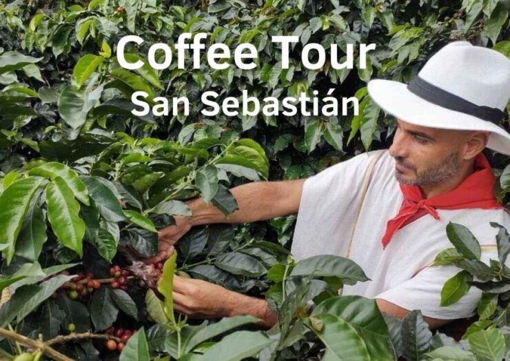 From Farm to Cup: The Ultimate Coffee Tour - Coffee Farm Immersion